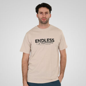 261TS-9122 T-SHIRT WITH DOUBLE PRESSED PRINT ICE GREY