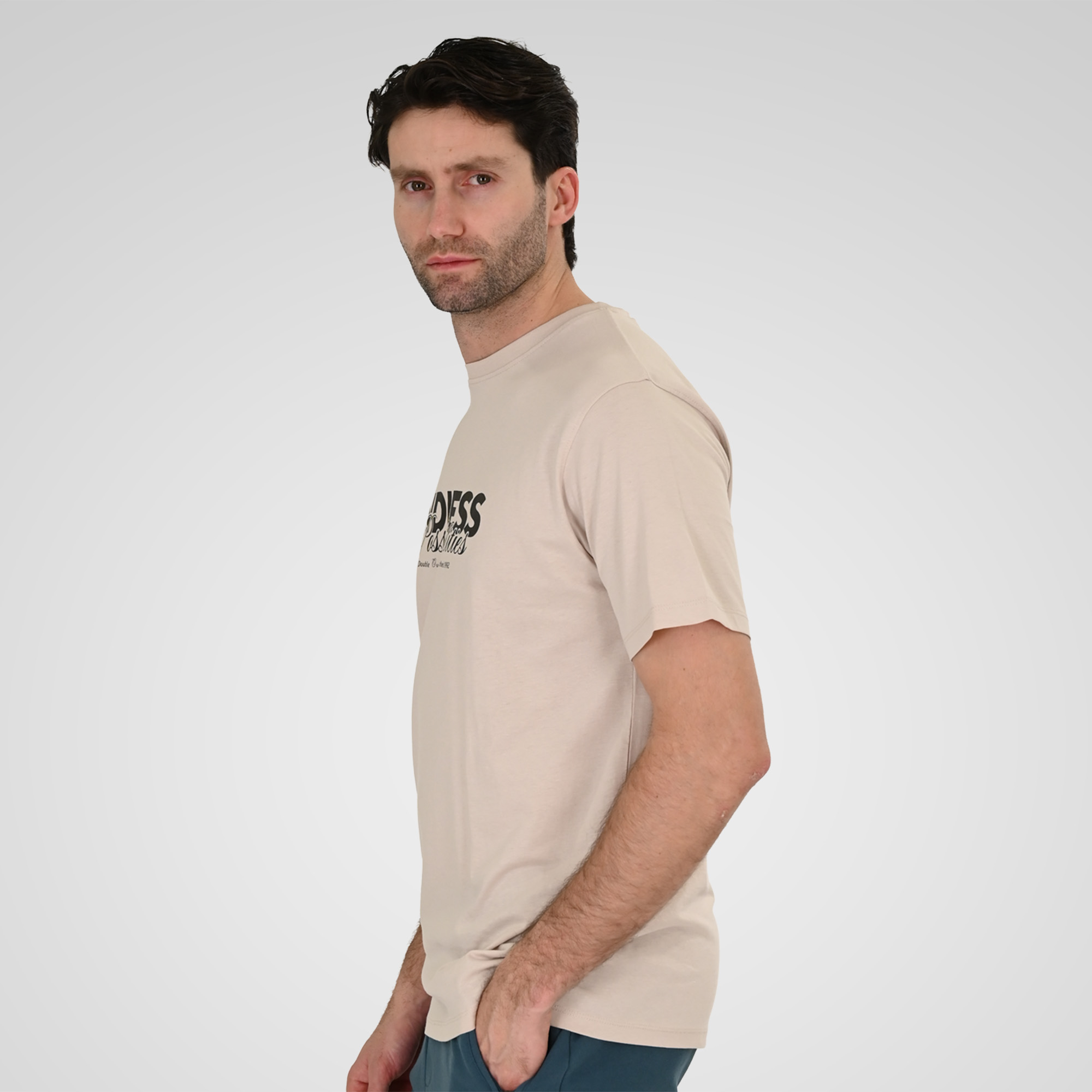 261TS-9122 T-SHIRT WITH DOUBLE PRESSED PRINT ICE GREY - Image 3