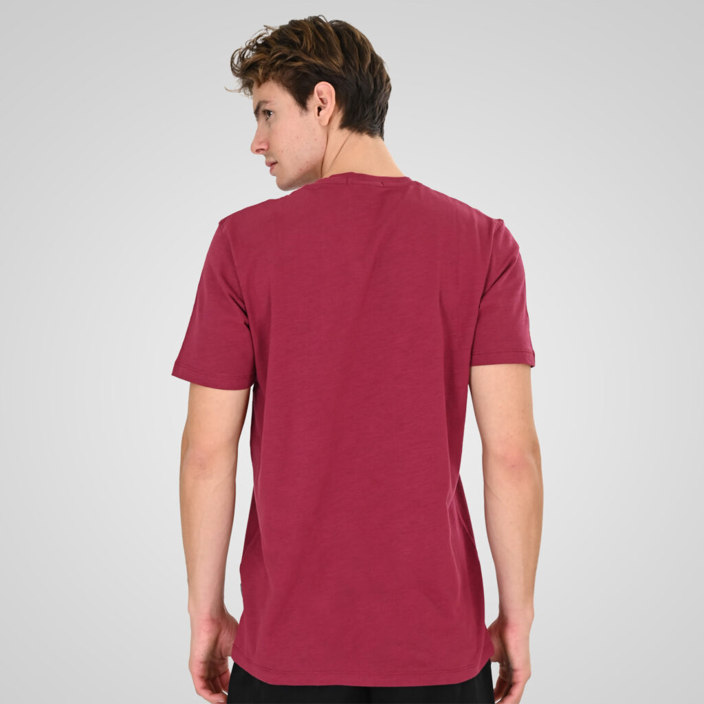 261TS-9142 FLAMA T-SHIRT WITH SINGLE PRESSED PRINT CRANBERRY