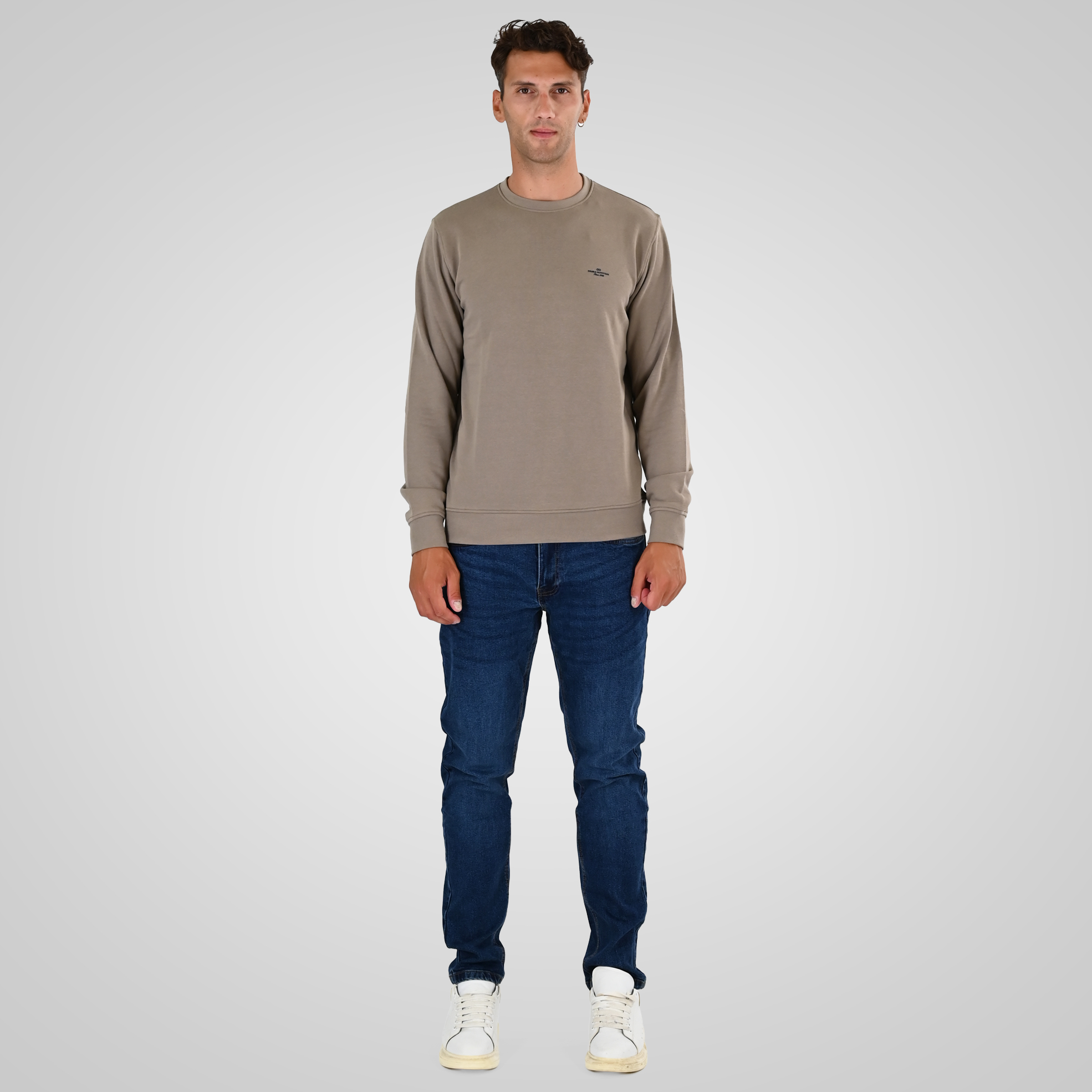 262MTOP-1141 CREWNECK WITH HIGH DENSITY PRINT (TERRY FLEECE) DK BEIGE - Image 2