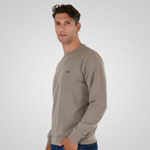 262MTOP-1141 CREWNECK WITH HIGH DENSITY PRINT (TERRY FLEECE) DK BEIGE - Image 3