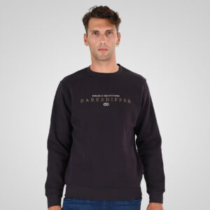 262MTOP-1151 CREWNECK TOP WITH 3D AND DENSE EMBROIDERY (BRUSHED FLEECE) AUBERGINE
