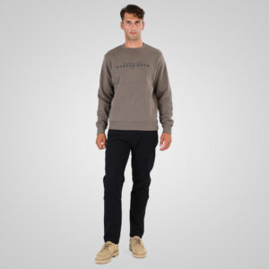 262MTOP-1151 CREWNECK TOP WITH 3D AND DENSE EMBROIDERY (BRUSHED FLEECE) TAUPE