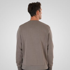 262MTOP-1151 CREWNECK TOP WITH 3D AND DENSE EMBROIDERY (BRUSHED FLEECE) TAUPE - Image 4