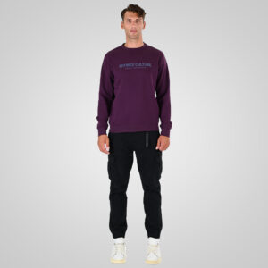 262MTOP-1152 CREWNECK TOP WITH PUFF PRINT (BRUSHED FLEECE) DK RASPBERRY